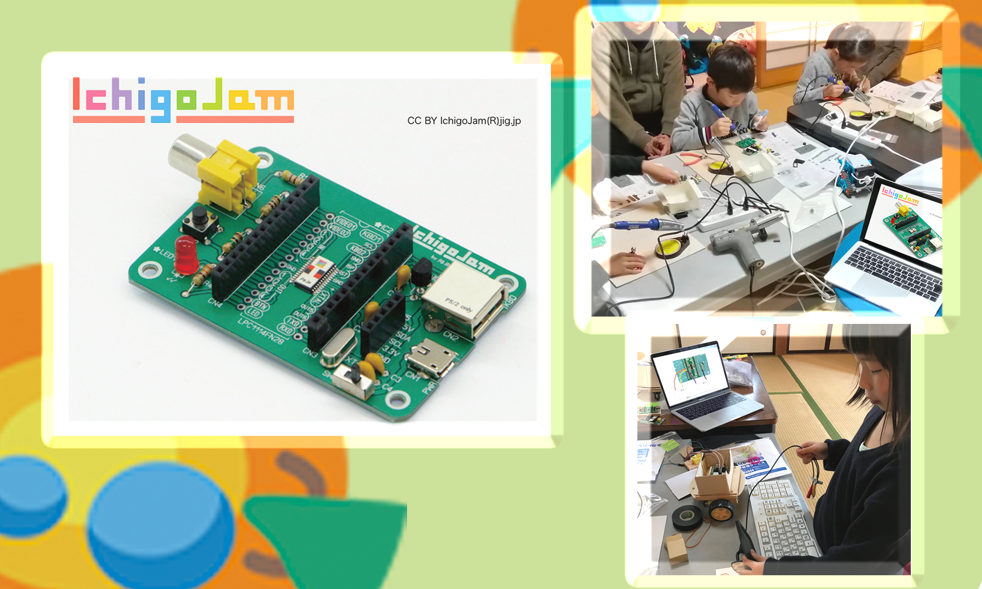 トコジラミの種類